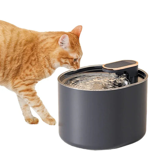 Automatic Circulating Pet Water Dispenser with Silent USB Pump