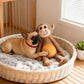 Durable Monkey Squeaky Plush Dog Toy for Aggressive Chewers