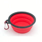 2-in-1 Folding Silicone Pet Feeder Bowl for Travel