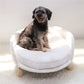 Ultra Soft Elevated Pet Sofa Bed with Waterproof Cushion