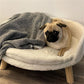 Ultra Soft Elevated Pet Sofa Bed with Waterproof Cushion