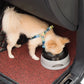 Floating No-Spill Pet Water Bowl for Dogs and Cats
