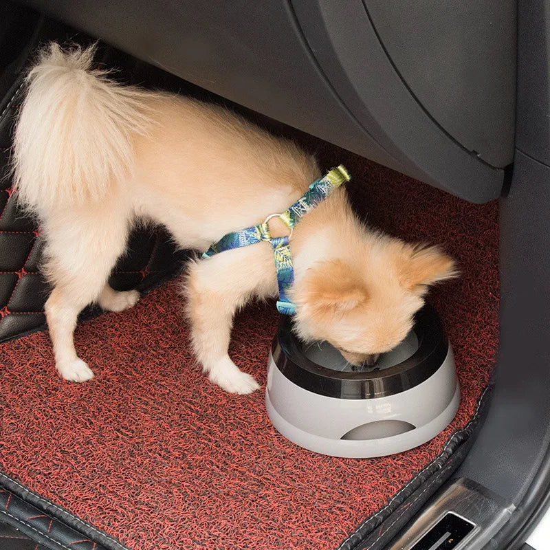 Floating No-Spill Pet Water Bowl for Dogs and Cats
