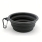 2-in-1 Folding Silicone Pet Feeder Bowl for Travel